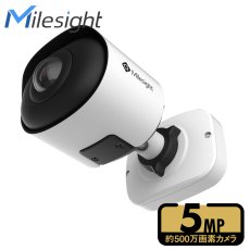 画像1: 500万画素 AI 180°パノラマ ミニバレットIPカメラ (1)